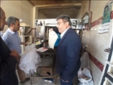 معاون عمرانی فرماندار ملکان از نانوایی های 4 روستای بخش مرکزی این شهرستان بازدید کرد